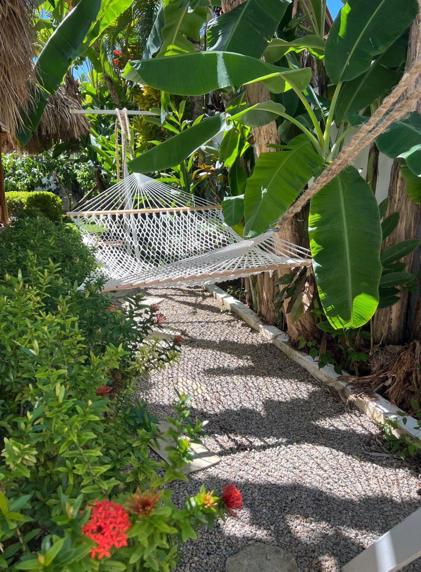 Villa Clarissa No. 8 ลาสแตร์เรนาส ภายนอก รูปภาพ